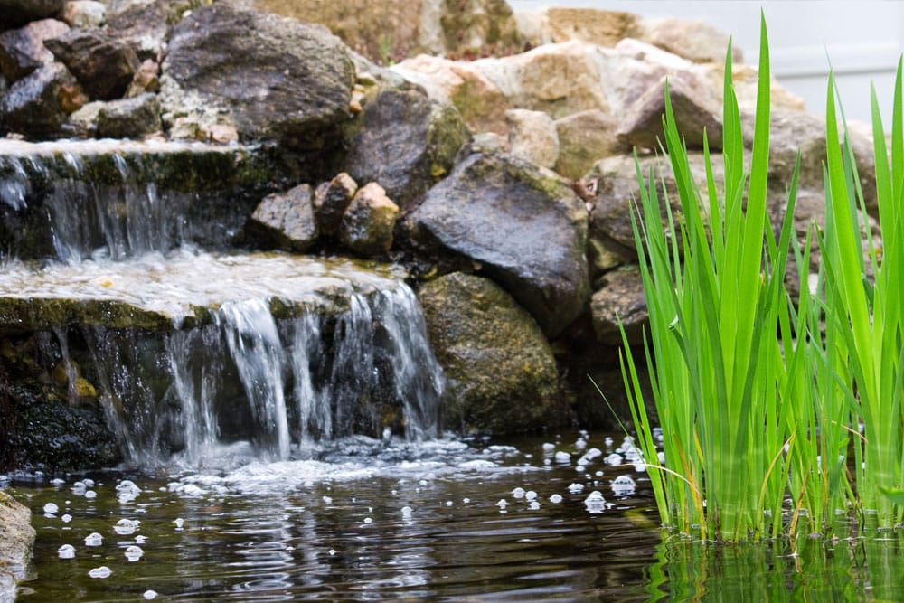 Choose the best pond pump for your head height