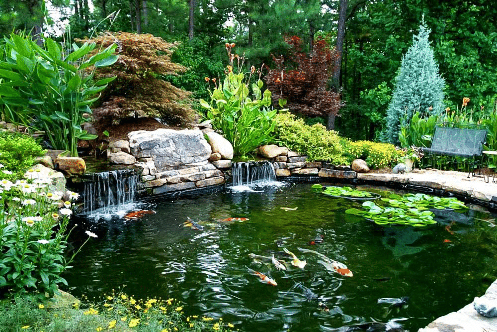 How to calculate the volume of your pond 1 How to calculate the volume of your pond