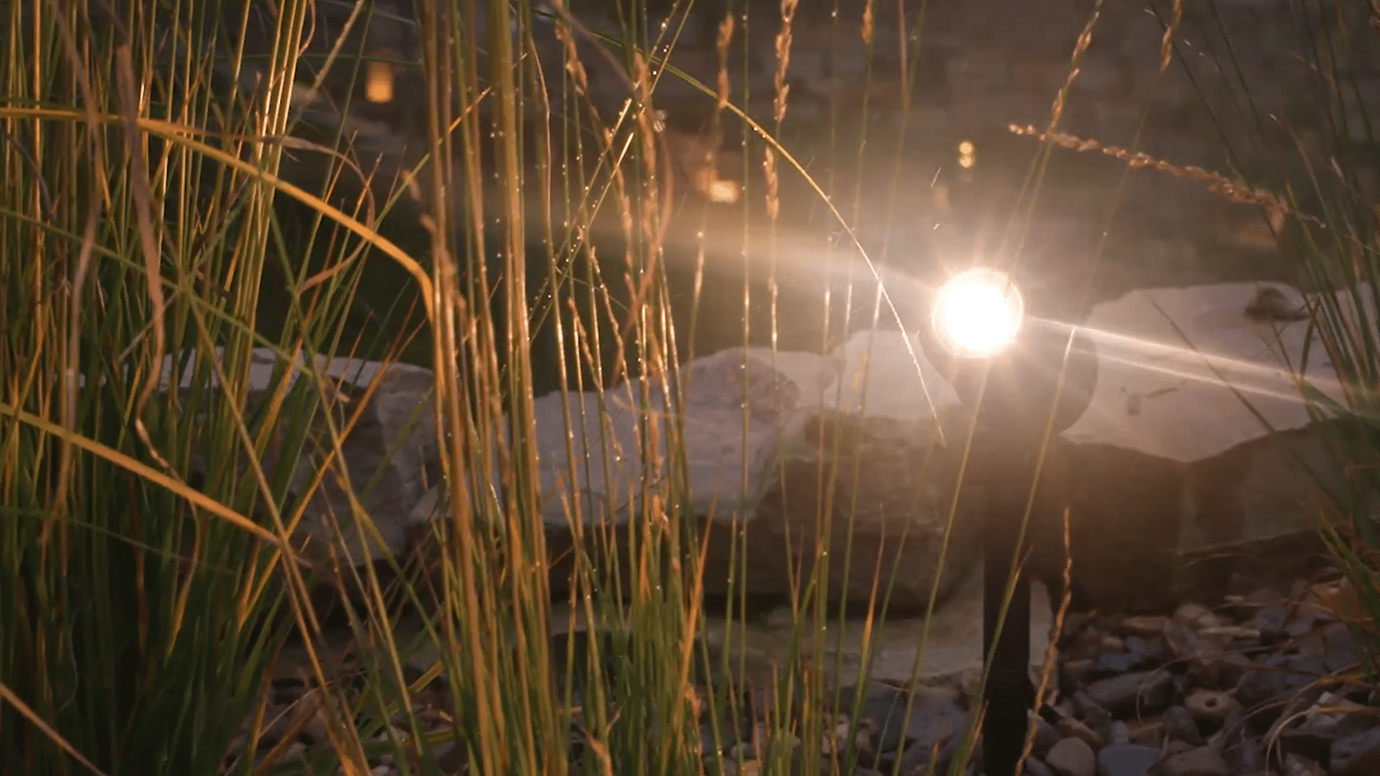 Lit up LunAqua Connect on an extended stand lighting up pond plants.