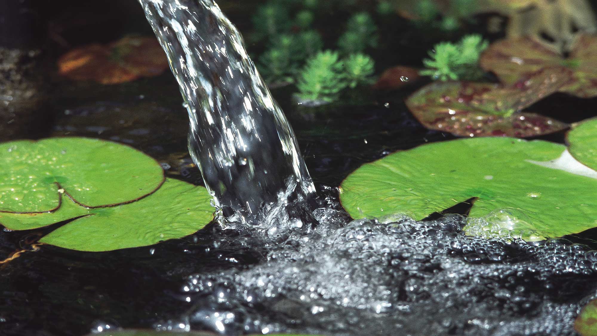 OASE105553-0256 The Oase BioSmart 16000 UVC through-flow filter has special foam media to break down pond waste and an integrated 11W UV for clear water.