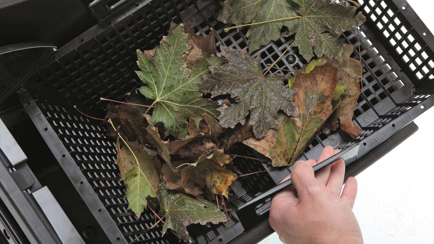The Oase BIOsys Skimmer+ should be installed directly into your pond wall during construction.