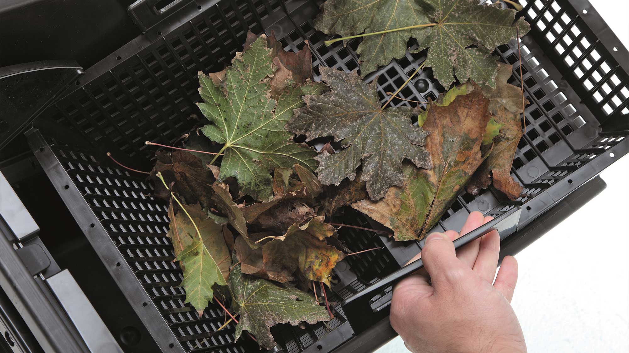 OASE107113-BioSysSkimmer-plus The Oase BIOsys Skimmer+ should be installed directly into your pond wall during construction.