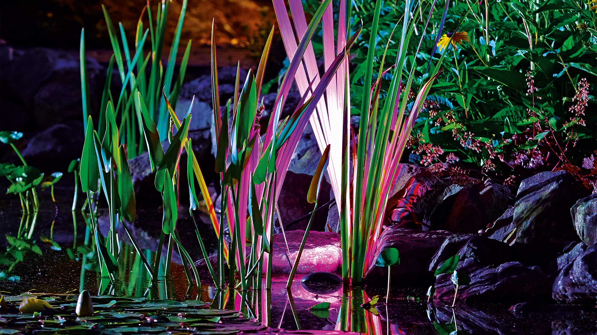 OASE109522-ProfiLuxGardenLED-RGB The ProfiLux Garden LED RGB spotlights give you the ability to create your own unique colourful display, for illuminating water features and pond landscapes.
