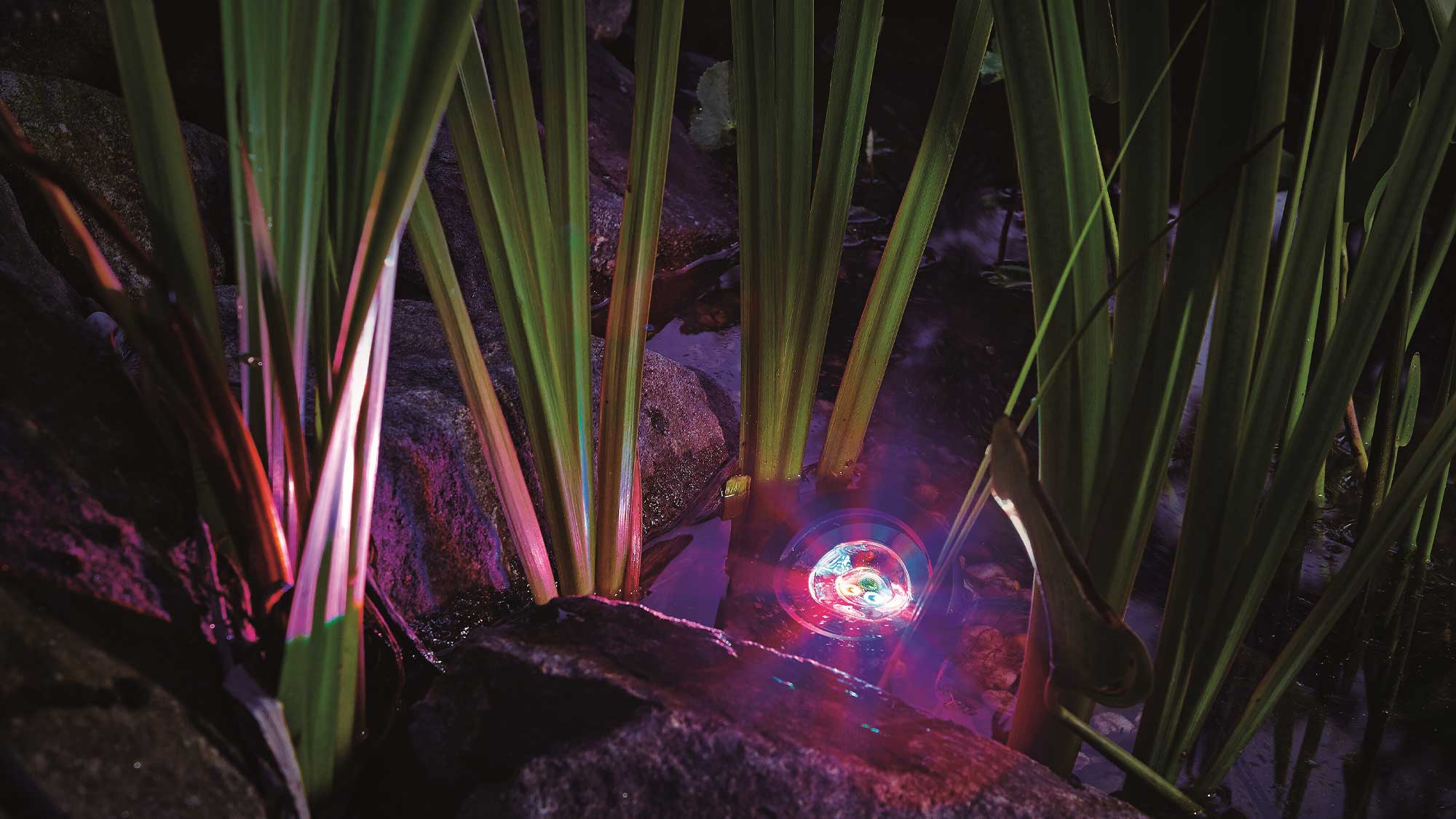 OASE109523-ProfiLuxGardenLED-RGB The ProfiLux Garden LED RGB spotlights give you the ability to create your own unique colourful display, for illuminating water features and pond landscapes.