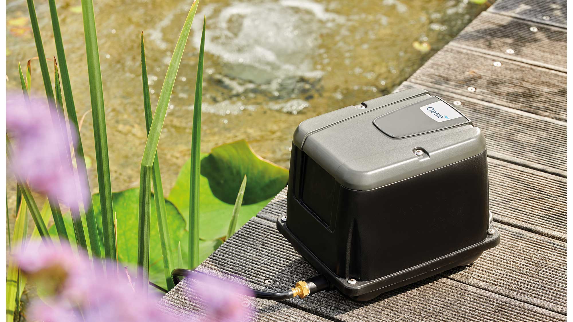 OASE159448-AquaOxy The Oase AquaOxy 2500 is a weatherproof, compact, and particularly quiet air pump. It is supplied complete with air hose and air stones.