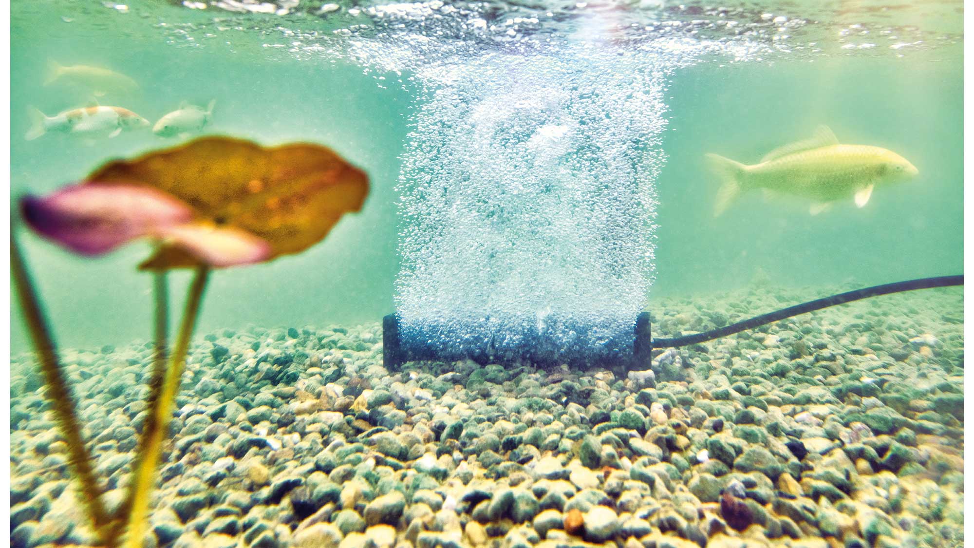 OASE160847-AquaOxy-Beluefterstab-L The Oase AquaOxy Aeration Bar L is designed for use with the AquaOxy 5000 or AquaOxy 7500 air pumps.