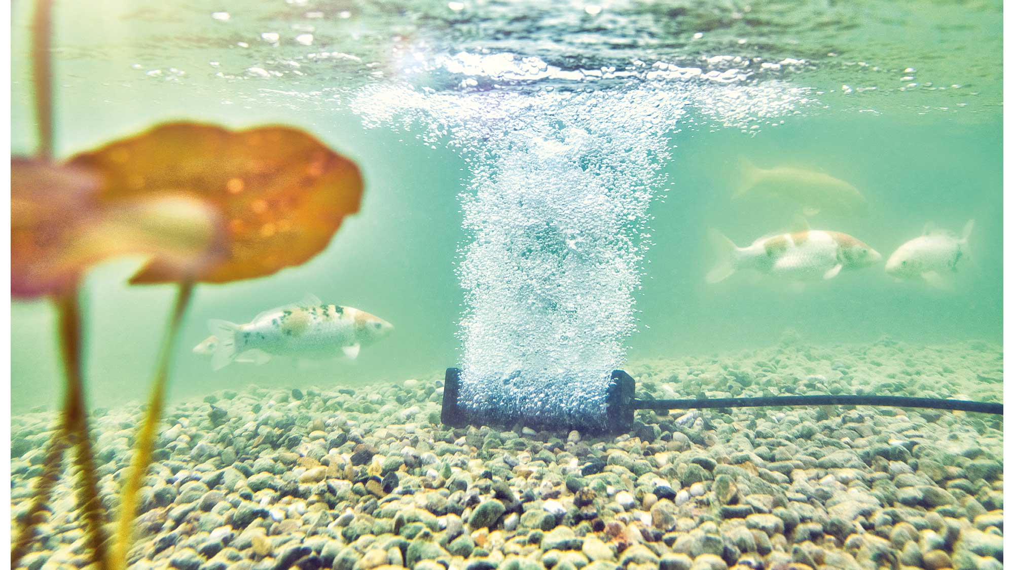 OASE160851-AquaOxy-Beluefterstab-S The Oase AquaOxy Aeration Bar S is designed for use with the AquaOxy 1000 or AquaOxy 2500 air pumps.