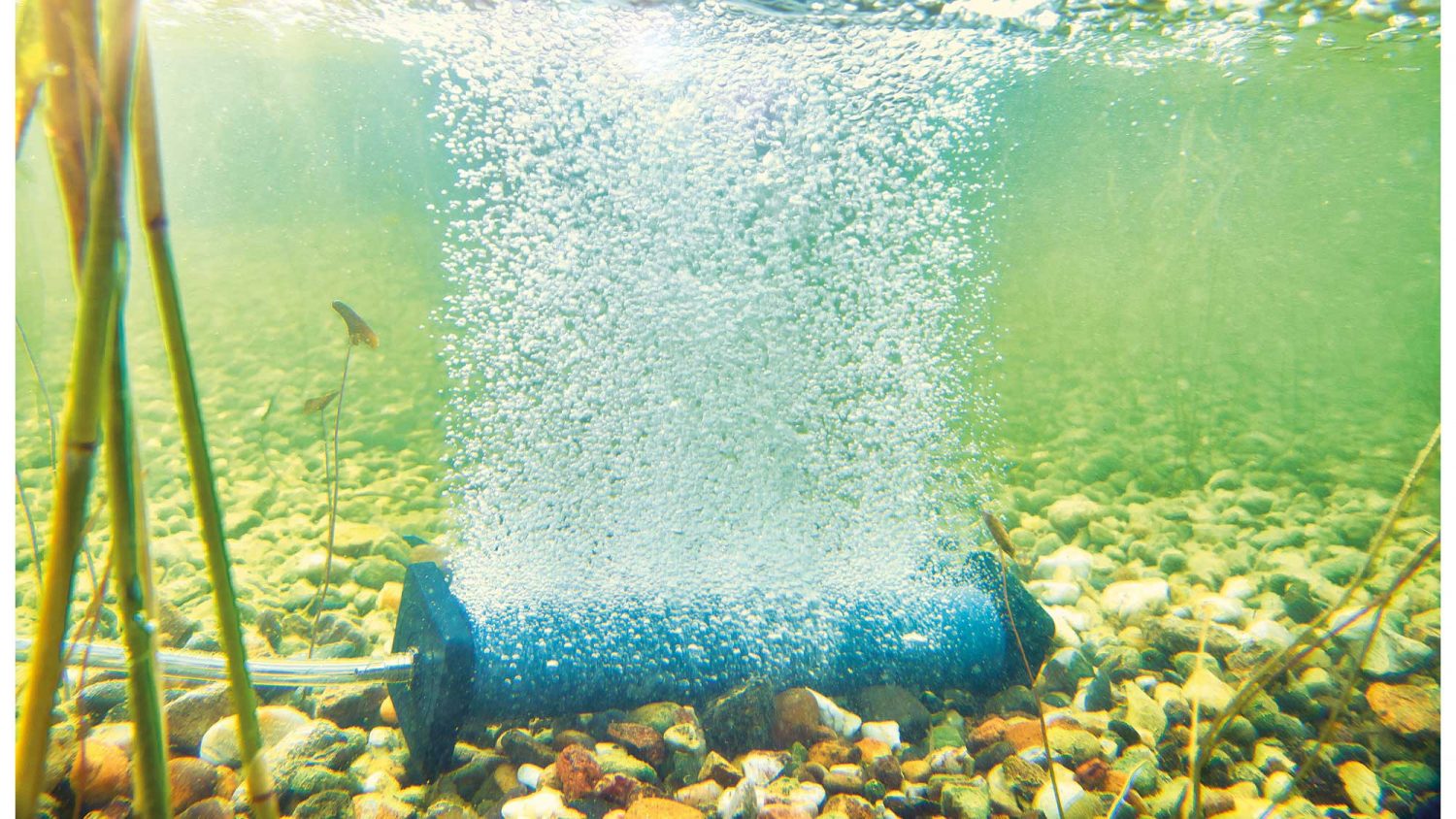 The Oase AquaOxy Aeration Bar S is designed for use with the AquaOxy 1000 or AquaOxy 2500 air pumps.