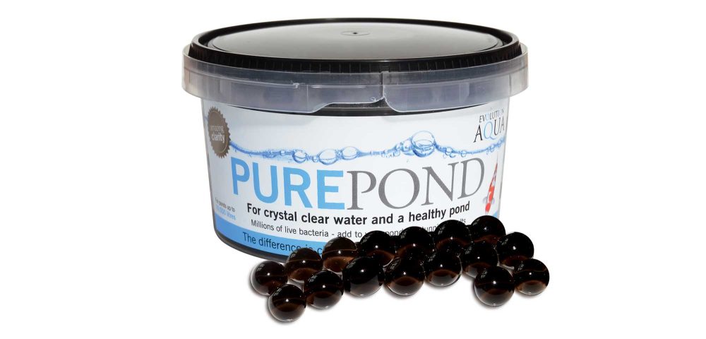 Evolution Aqua Pure Pond 500ml treats ponds of up to 10,000 litres. Pure pond biodegradable balls contains bacteria and enzymes that break down organic waste in your pond water ensuring excellent water quality for your fish.
