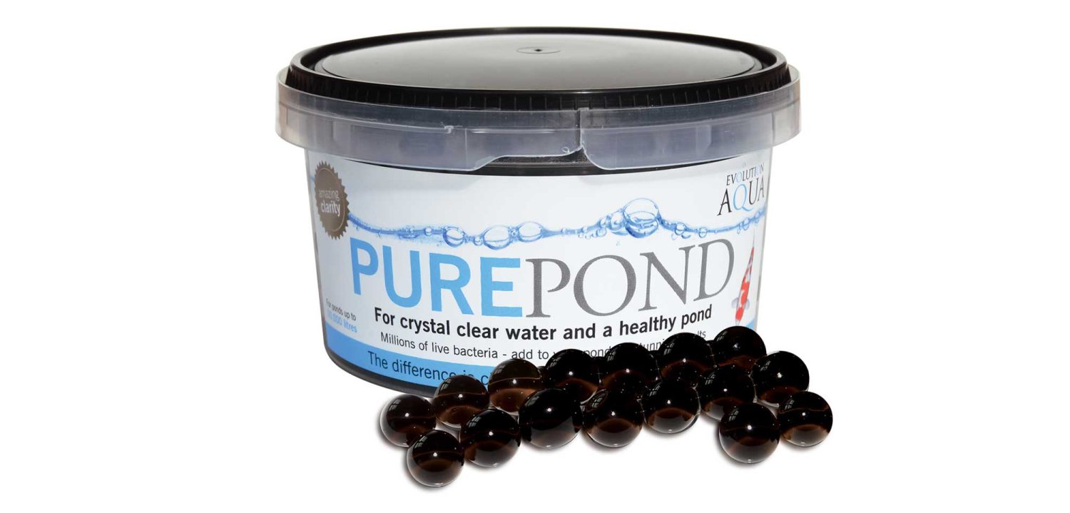 Evolution Aqua Pure Pond 500ml treats ponds of up to 10,000 litres. Pure pond biodegradable balls contains bacteria and enzymes that break down organic waste in your pond water ensuring excellent water quality for your fish.