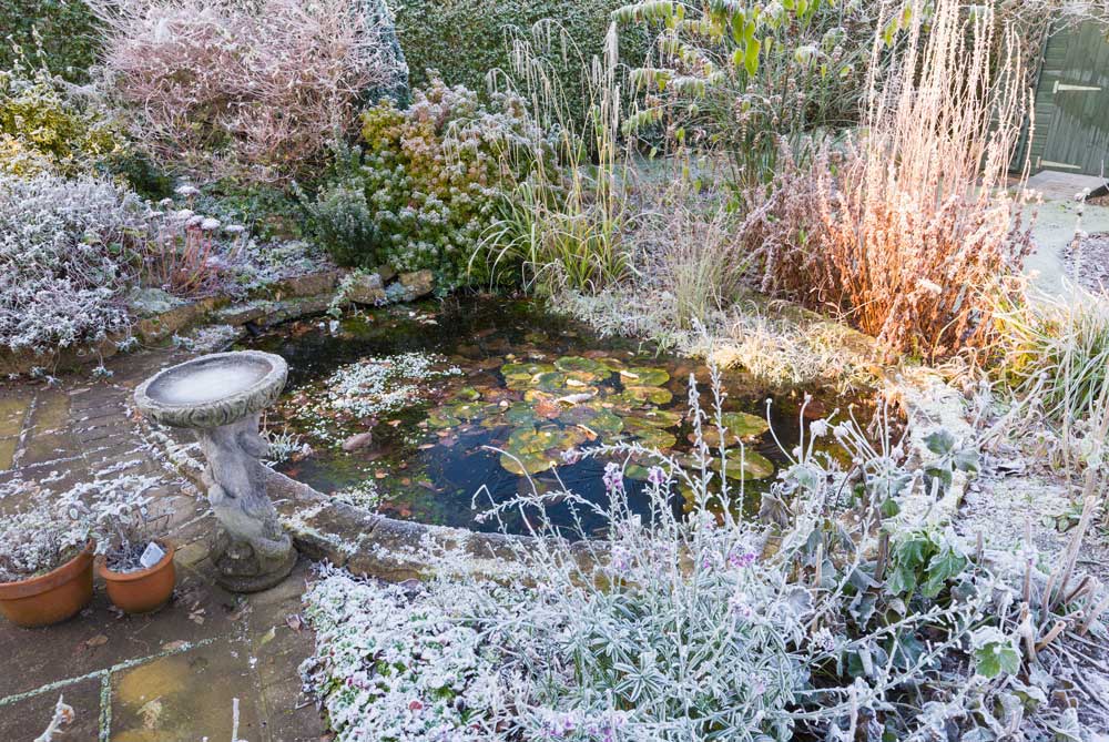 How to prevent my pond freezing over? 8 How do I prevent my pond freezing over?