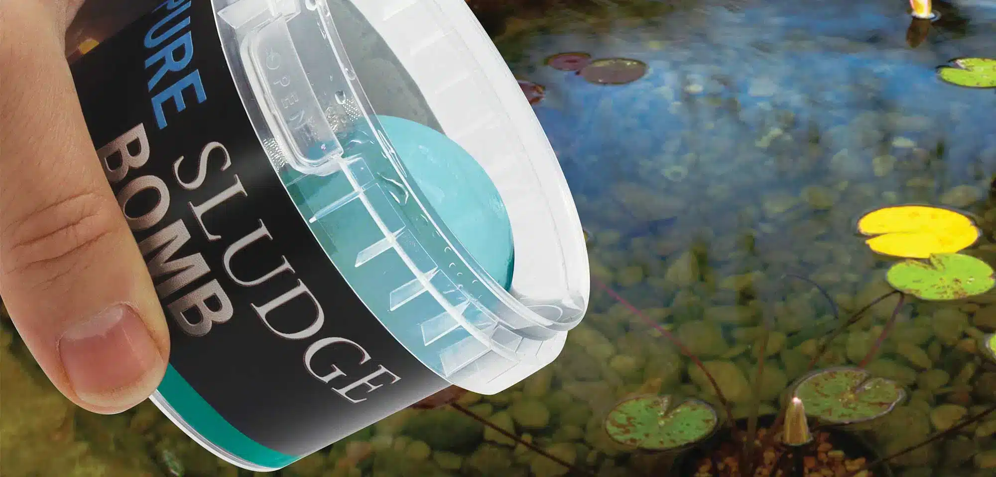 Spring is a transitional time for your pond, and supportive treatments can help it settle into the new season.