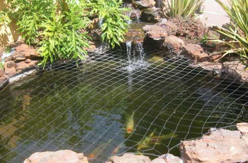 Should I use a pond net cover in autumn and winter? 10 Should I use a pond net cover in autumn and winter?